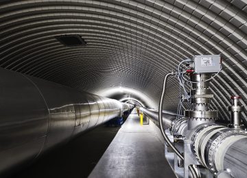 Festival del Web tra cani robot e macchine spazio-temporali: quattro giorni di laboratori e incontri