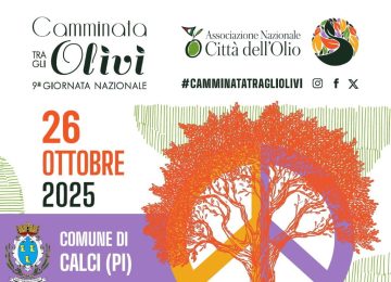 IX edizione della 'Camminata tra gli Olivi' a Calci: una giornata dedicata a degustazioni e iniziative per la pace