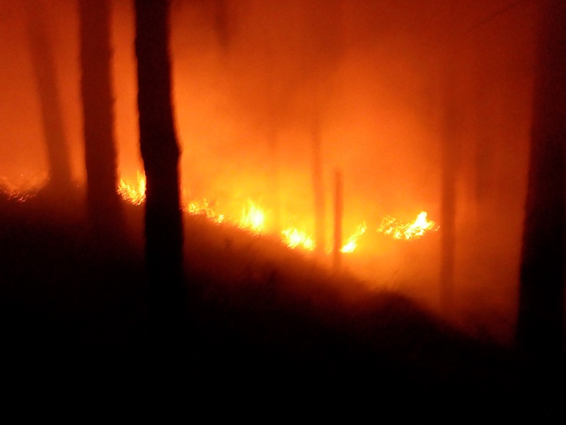 Incendio boschivo a Seggiano: operazioni di spegnimento in corso