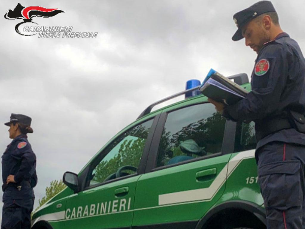 Indagine dei Carabinieri Forestali: tre persone denunciate per smaltimento illecito di rifiuti a Campo nell'Elba
