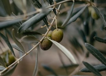 Lavoro: Cinque aziende a Firenze sospese e multe di 50mila euro per irregolarità