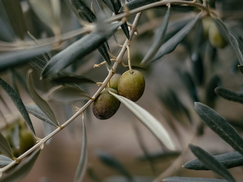 Lavoro: Cinque aziende a Firenze sospese e multe di 50mila euro per irregolarità