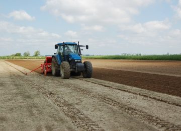 Nasce a Cosenza la Sezione Territoriale della Rete per il Lavoro Agricolo di Qualità
