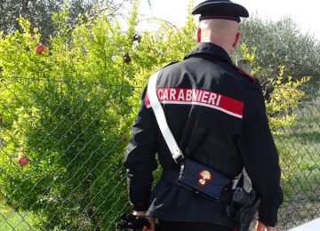 Scomparsa della 24enne nel Senese: l'appello della famiglia. Ricerche senza esito.