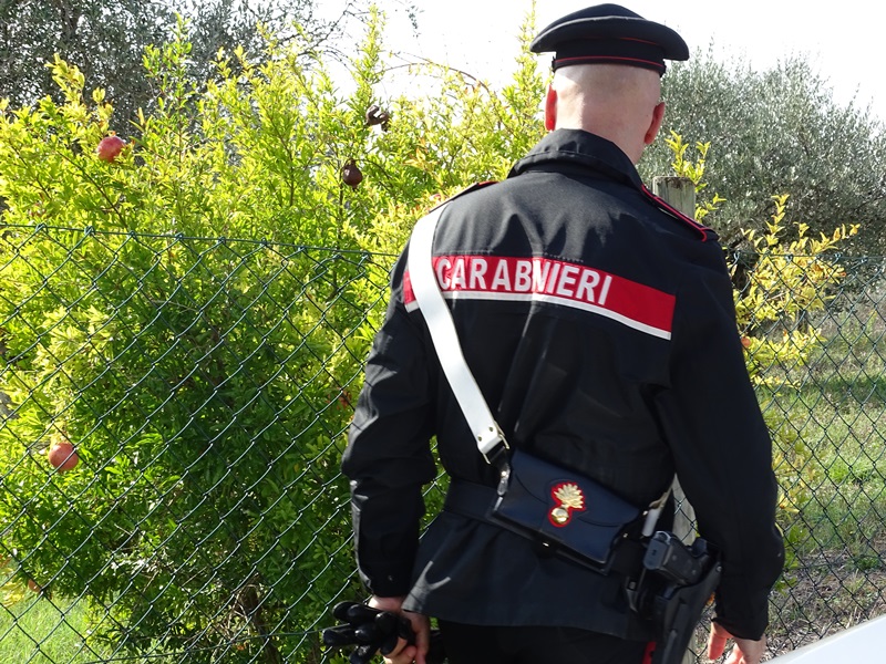Scomparsa della 24enne nel Senese: l'appello della famiglia. Ricerche senza esito.