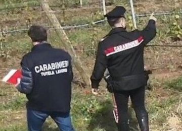 Controlli dei Carabinieri nel Settore Agricolo: Irregolarità e Lavoro Nero Scoperti nella Provincia di Firenze