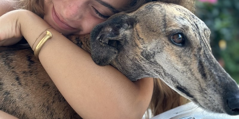 Firenze: “Un levriero per sempre”. Padel solidale per aiutare i nostri amici a quattro zampe.