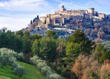 You can taste them but also gather them.