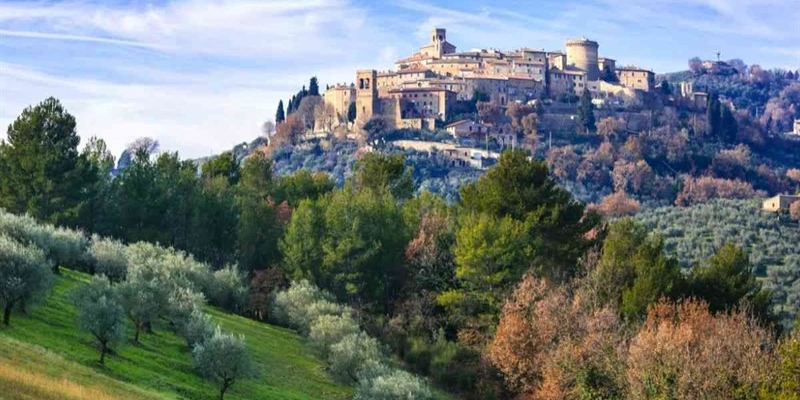 You can taste them but also gather them.