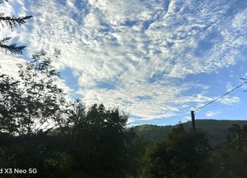 Il cielo di Villore: I dettagli di una bellezza mugellana.