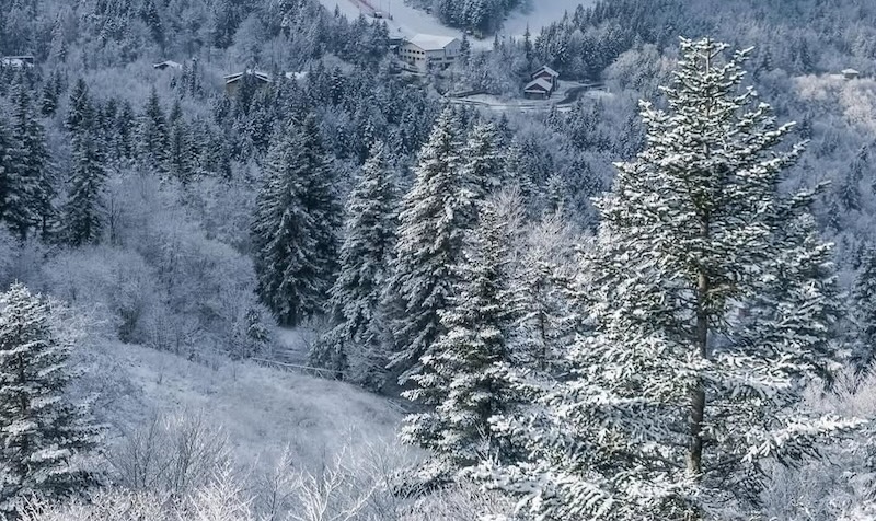 Allerta gialla per neve e vento forte in Toscana