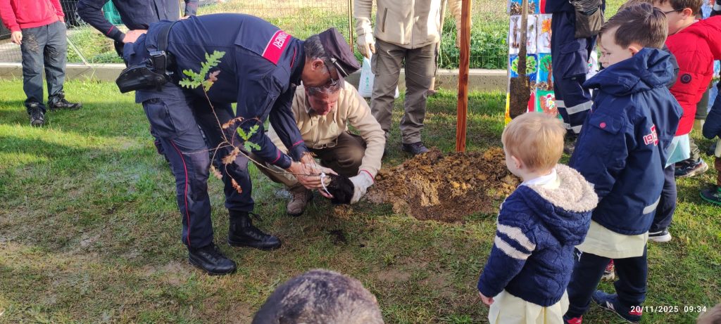 Castelfranco celebra la Giornata Nazionale degli Alberi