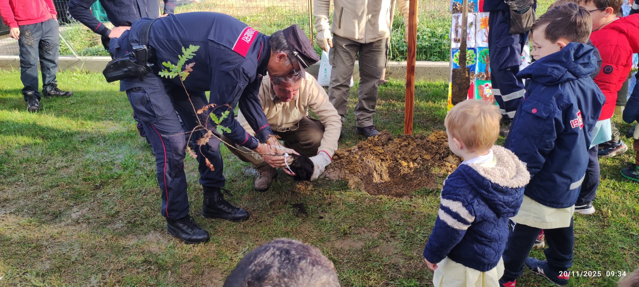 Castelfranco celebra la Giornata Nazionale degli Alberi
