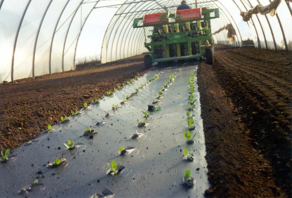 Mater-Bi: Amendante Inorganico secondo il Regolamento UE