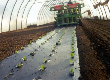 Mater-Bi: Amendante Inorganico secondo il Regolamento UE