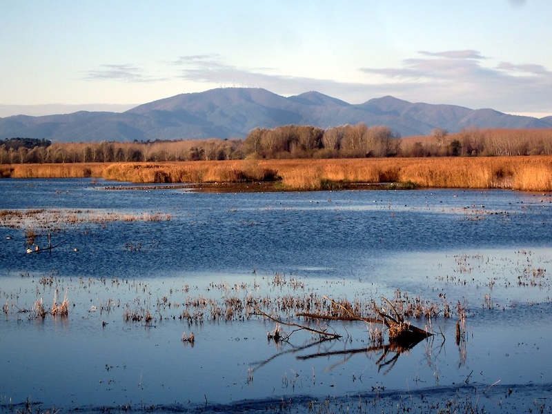 Osservazione di Uccelli e Escursioni in Valdinievole con Legambiente Pistoia: il Programma di Dicembre