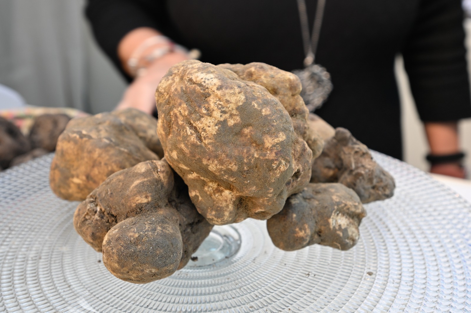 Tre weekend di delizie, ospiti ed eventi per la Mostra Mercato del Tartufo Bianco delle Colline Sanminiatesi