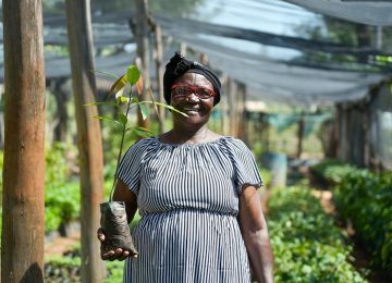 Un Natale con Treedom e Fondazione AIRC: Pianta Alberi e Sostieni la Ricerca
