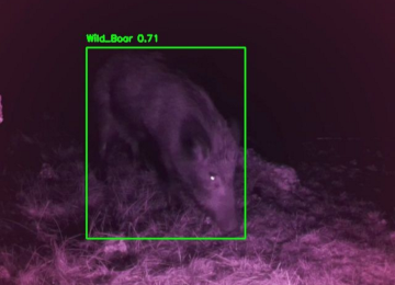 WatchEDGE: sensori, 5G e IA per tutelare la fauna di San Rossore