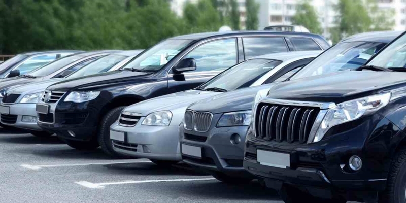 La denuncia della consigliera Fedele: La maggioranza vuole impedire ai fiorentini di utilizzare l'auto.