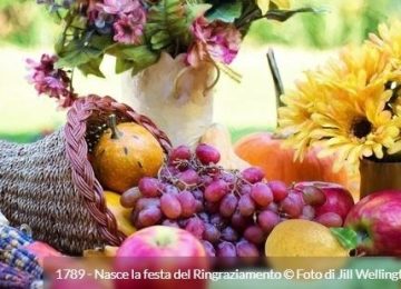 Il Buongiorno di Ok!News24: Oggi, 26 Novembre 2025