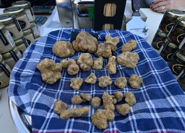 Gran finale per la Mostra Mercato del Tartufo Bianco delle Colline Sanminiatesi