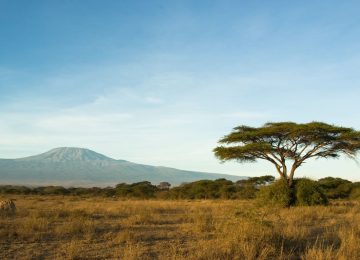 Da luglio 2026: Nuovo volo diretto Neos da Milano al Kilimanjaro