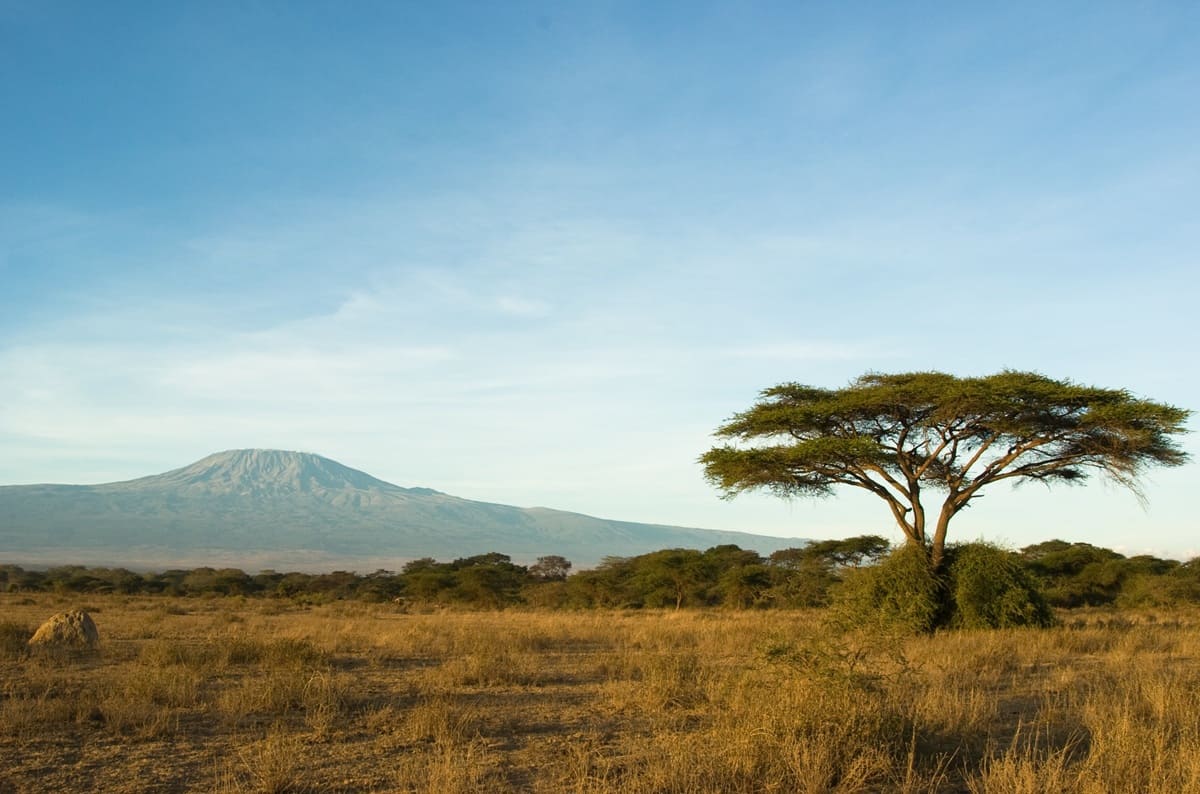 Da luglio 2026: Nuovo volo diretto Neos da Milano al Kilimanjaro