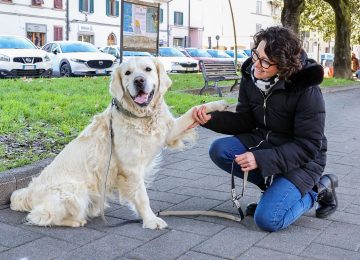 Fum fireworks prohibited in Empoli, l'appello per Capodanno: 'Scegli il rispetto per gli animali'