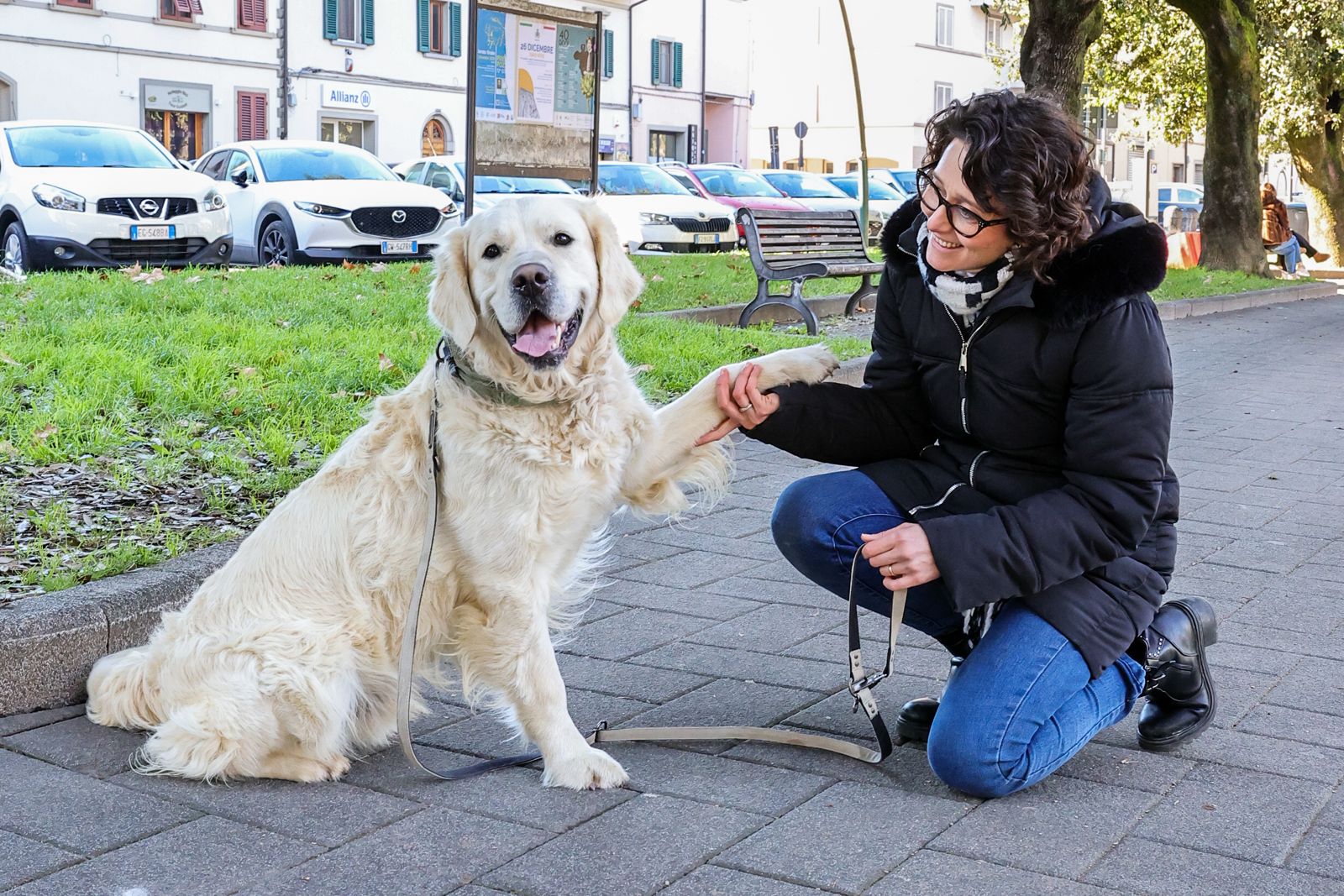 Fum fireworks prohibited in Empoli, l'appello per Capodanno: 'Scegli il rispetto per gli animali'
