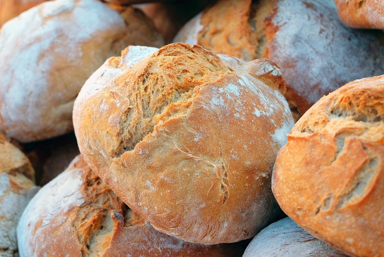 Pane con grani antichi nelle mense scolastiche di Montelupo Fiorentino