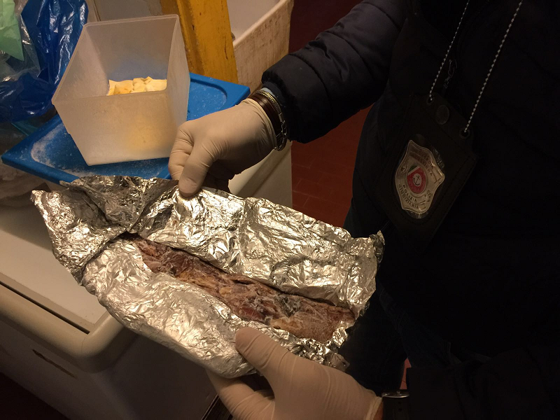 Pesce scaduto o privo di tracciabilità: sequestrate 5 tonnellate in Toscana