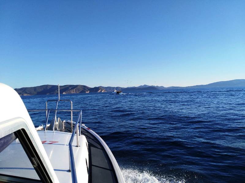 Sequestrata una tonnellata di pesce a Portoferraio, donata in beneficenza