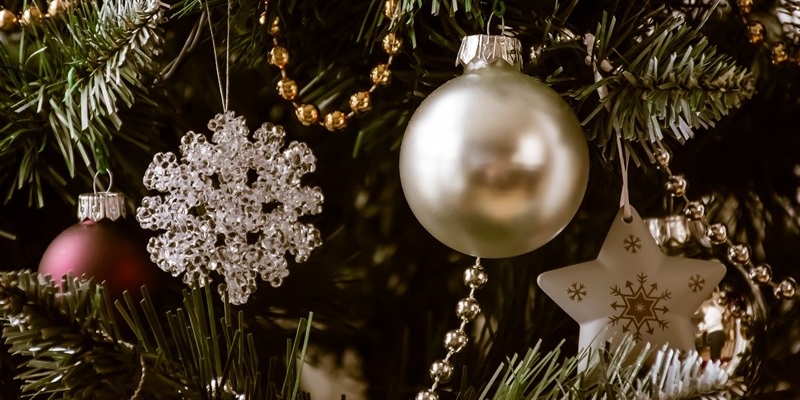 Greve in Chianti, albero di Natale? “Non buttateli”. Il Comune prolungano la vita degli alberi veri piantandoli negli spazi pubblici.