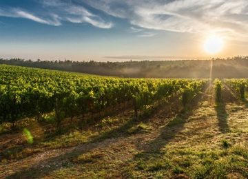 Firenze: Itinerari invernali nel Mugello: una Toscana diversa