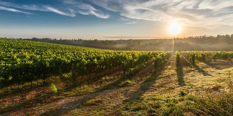 Firenze: Itinerari invernali nel Mugello: una Toscana diversa
