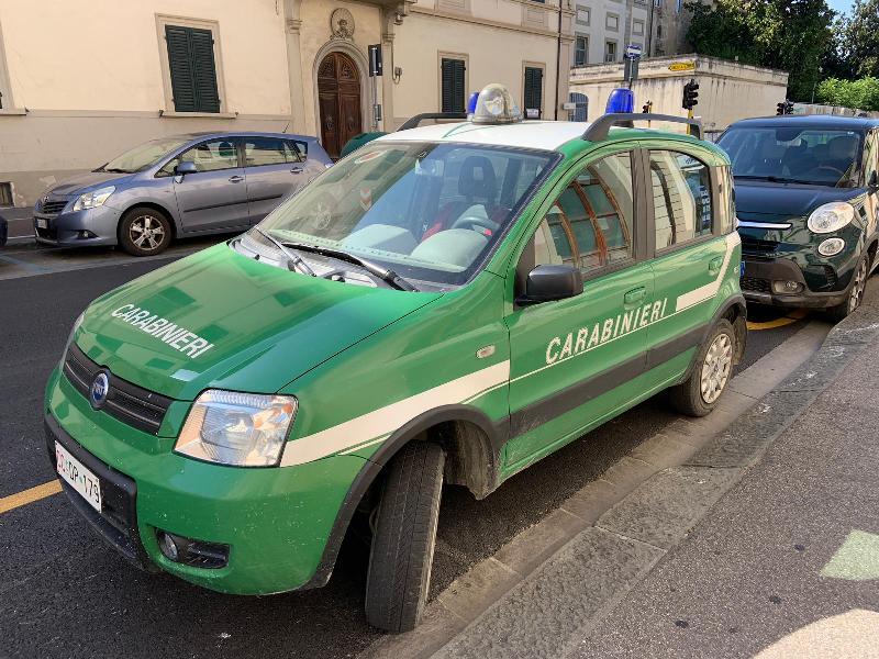 Bracconaggio ittico: multa pesante a Rosignano