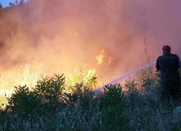 Catastrofi Naturali 2025: Le Stime dei Danni