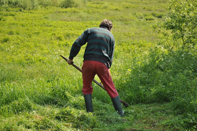 Cercato per un sequestro a Parigi, lavorava come giardiniere a Firenze.