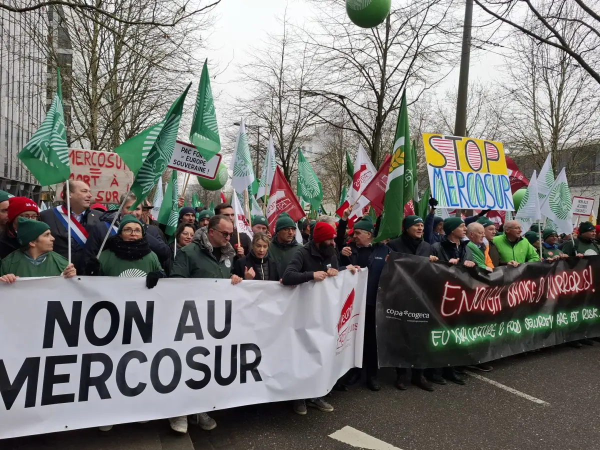 Mercosur: Giansanti Represents Confagricoltura in Strasbourg to Advocate for a Fair Agreement