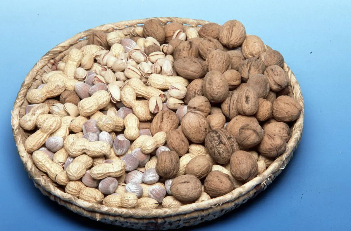 Dal CREA: Progetto per Valorizzare la Frutta Secca