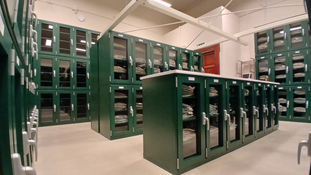 Digitalizzati i 357 mila campioni dell'Erbario dell'Università di Pisa