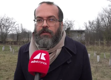 KilometroVerdeParma: più alberi in città per combattere il caldo e il cemento