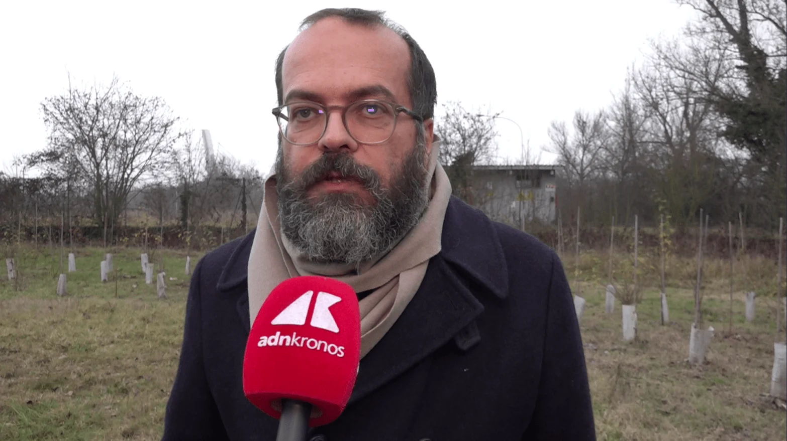 KilometroVerdeParma: più alberi in città per combattere il caldo e il cemento