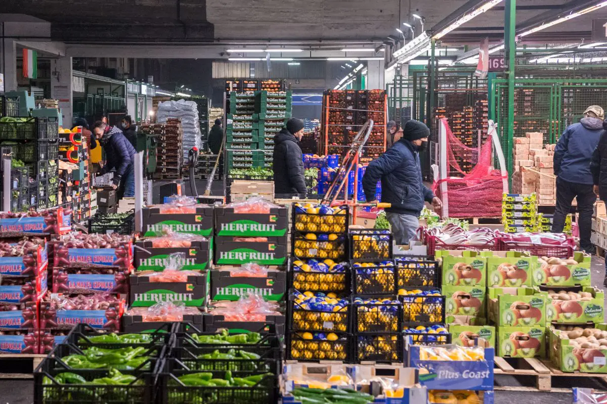 L'Antitrust avvia un'indagine sulla Gdo nella filiera agroalimentare