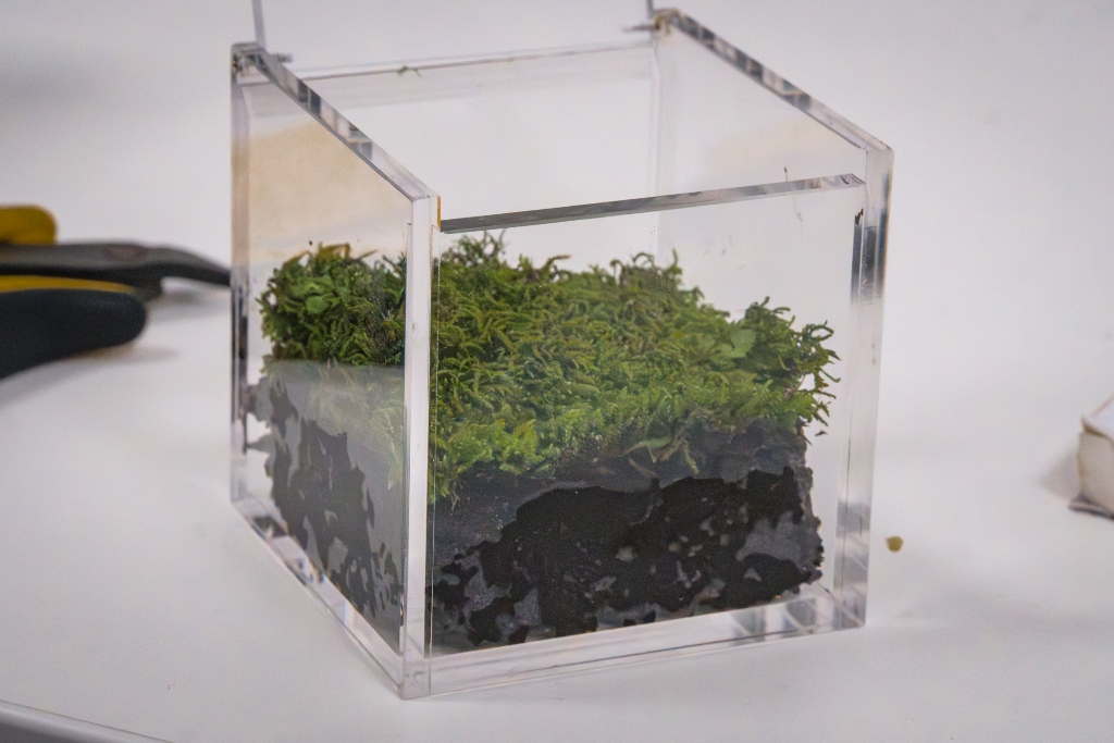 Miniaturizzazione della vita: il più piccolo sistema biorigenerativo per applicazioni spaziali dalla sinergia tra natura e tecnologia