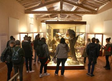 Museo di Storia Naturale di Calci, quasi 100mila visitatori
