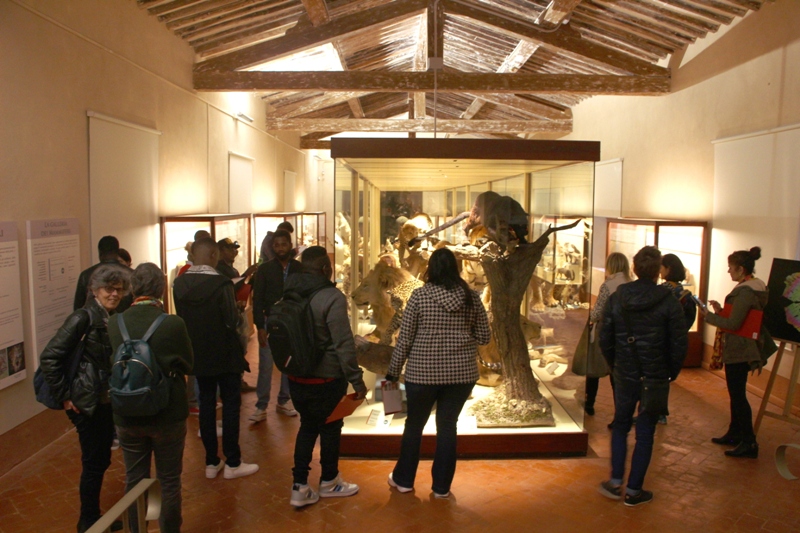 Museo di Storia Naturale di Calci, quasi 100mila visitatori