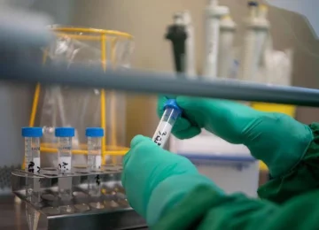 Prostata: come le infezioni riescono a sopravvivere - una scoperta rivoluzionaria.