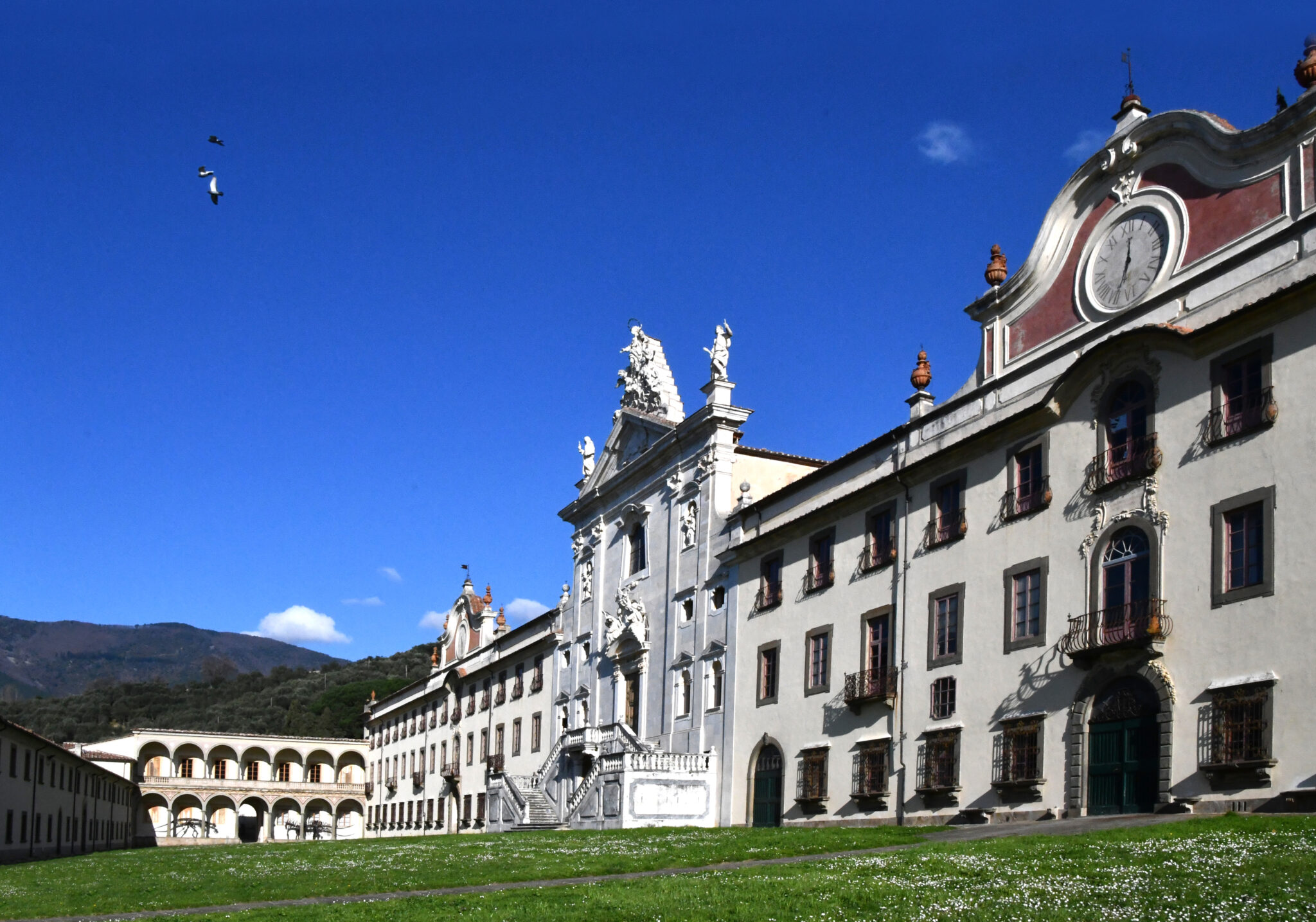 Sfiorati i 100.000 visitatori al Museo di Calci nel 2025
